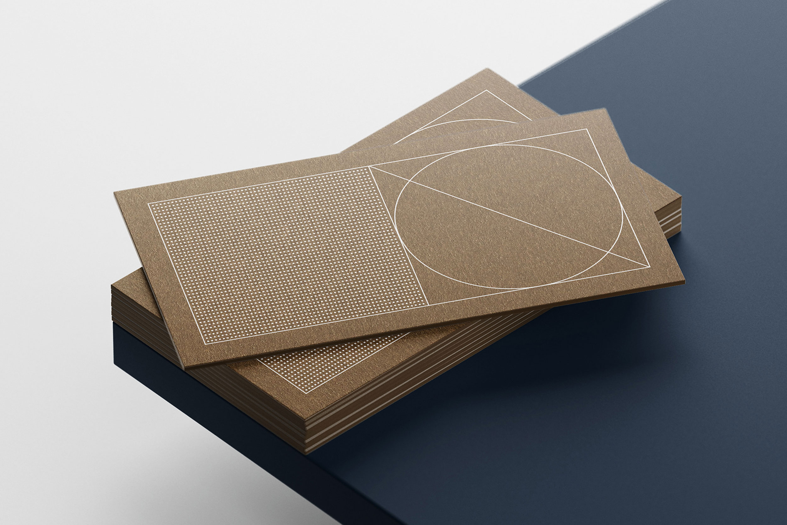 Horizontal Project Image